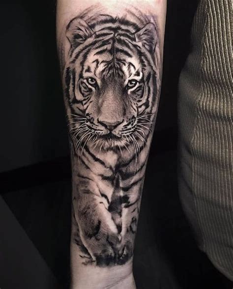 tattoo tigre brazo - www.laminaty-zpts.pl