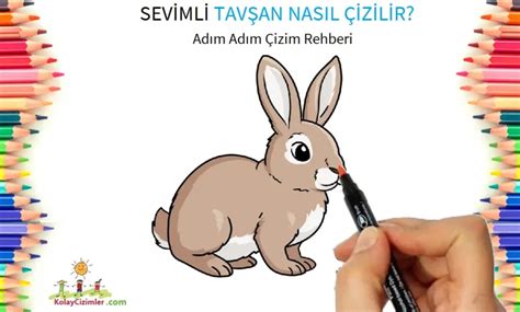 veodersti.rgarabwor.edu.pl. 