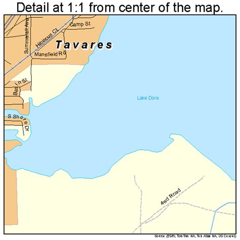 tavares florida