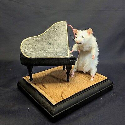 taxidermy mice for sale eBay