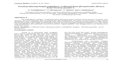 Full Download Taxol Producing Fungal Endophyte Colletotrichum 