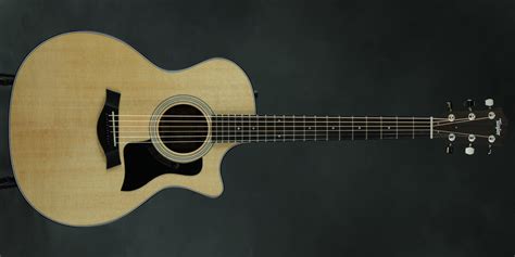 taylor guitar dating