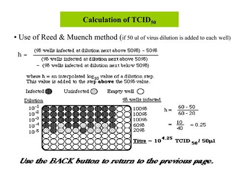 Tcid50 Calculation Karber