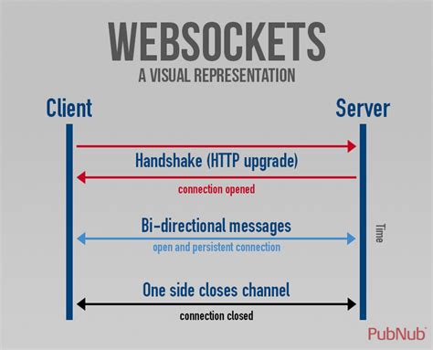 tcp socket laravel