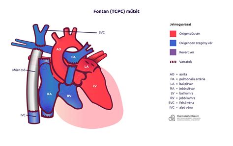 fazobetai: Apostas Desportivas Online com Garantia de Segurança Financeira para Todos os Jogadores - Foto 2