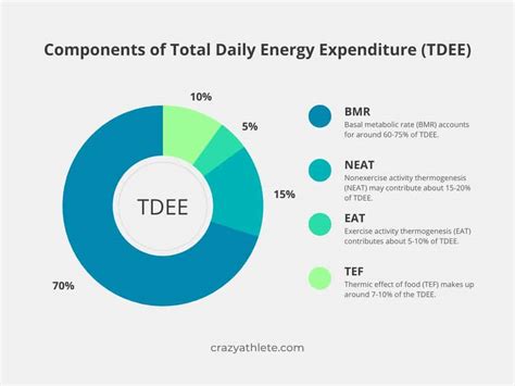 Tdee Calculator Total Daily Energy Expenditure Tdee Calculator - Tdee Calculator