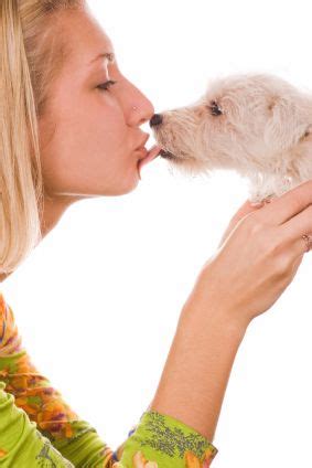 teach your dog to give kisses