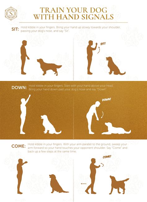 teach your dog to read