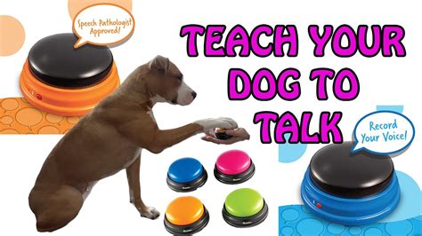 teach your dog to speak buttons