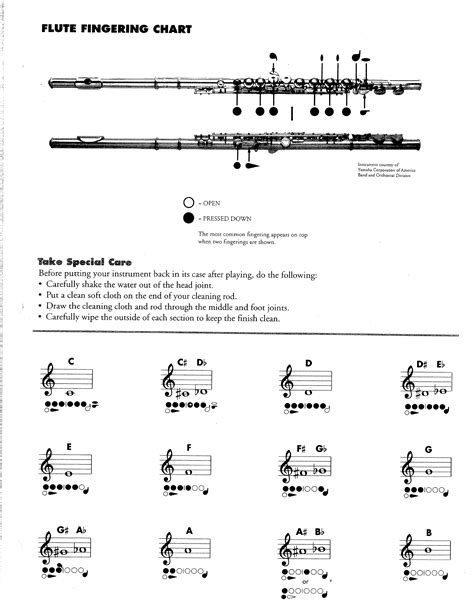 Download Teachers Guide To The Flute Charles Delaney 