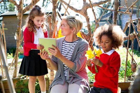 Teaching And Learning Outside The Box Inspiring Imagination Across The Curriculum