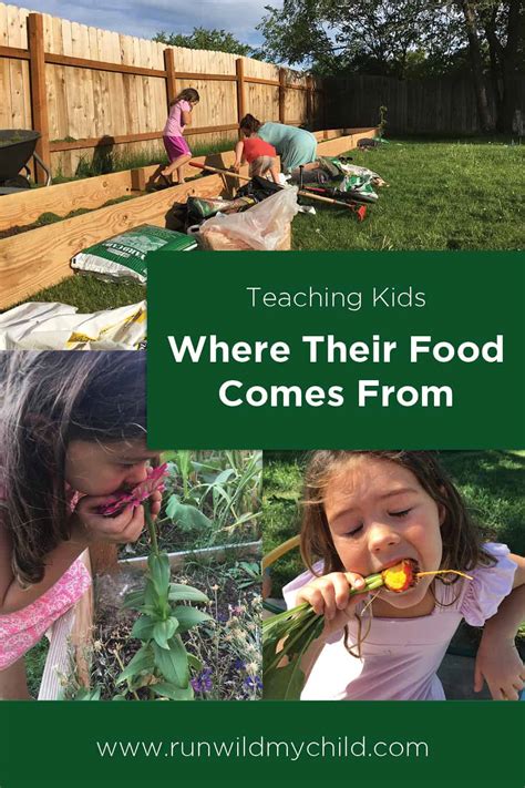 Teaching Kids About Where Food Comes From Run Food That Grows On Trees Preschool - Food That Grows On Trees Preschool
