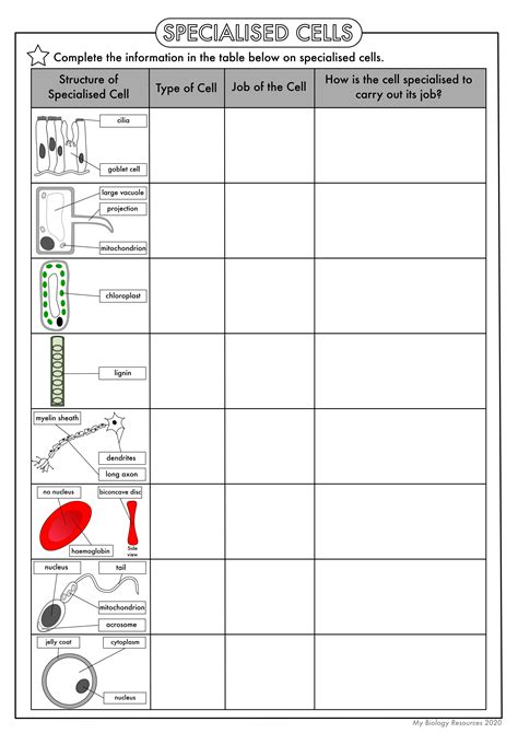 Teaching Resources For Cell Biology And Cytology Cell Structure Worksheet High School - Cell Structure Worksheet High School
