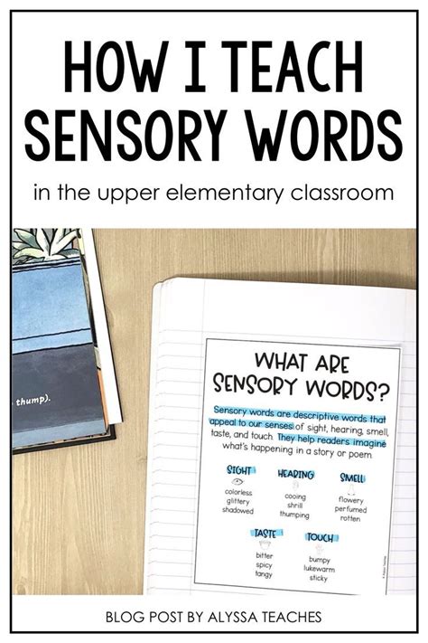 Teaching Students To Identify Sensory Words Alyssa Teaches Sensory Words Worksheet - Sensory Words Worksheet