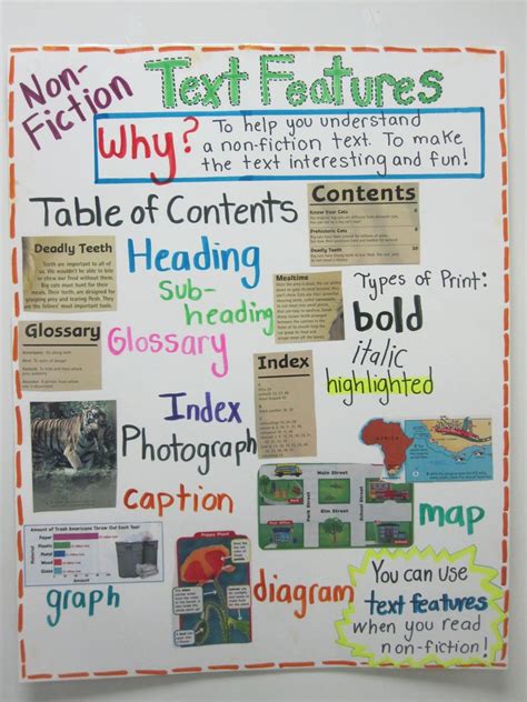 Teaching Text Features Reading Rockets 4th Grade Text Features - 4th Grade Text Features