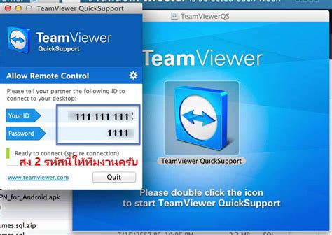 teamviewer 6 vpn adapter
