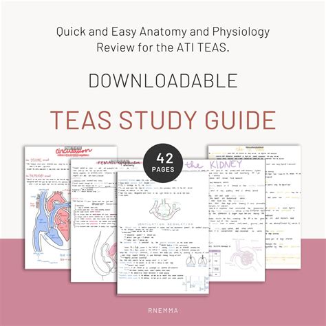 Read Teas Test Study Guide Free Download 
