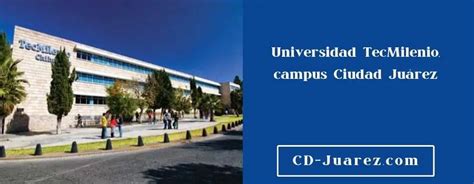 Tec Milenio Cd Juarez