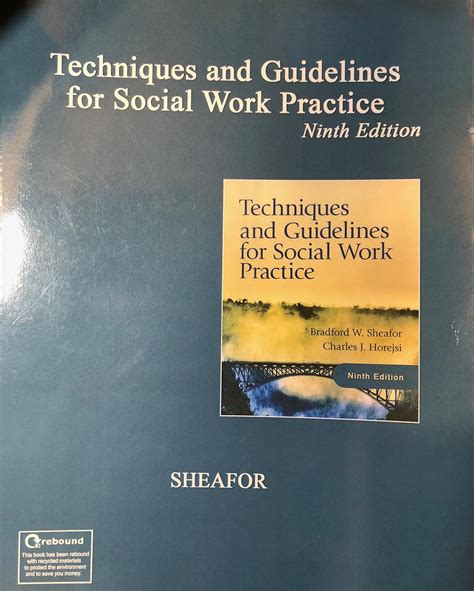Full Download Techniques And Guidelines For Social Work Practice 9Th Edition 