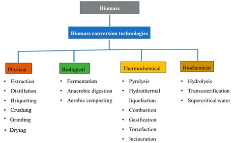 Technologies For Converting Biomass To Useful Energy Combustion Gasification Pyrolysis Torrefaction And Fermentation Sustainable Energy Developments