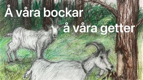 teckand varg