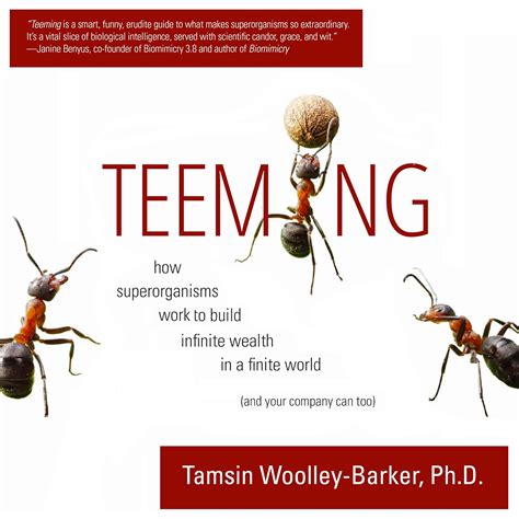Teeming How Superorganisms Work Together To Build
