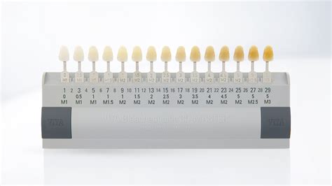 teeth color scale