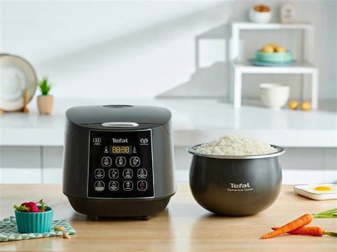 Full Download Tefal Automatic Rice Cooker Manual Wordpress 