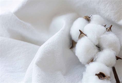 tejido algodon caracteristicas