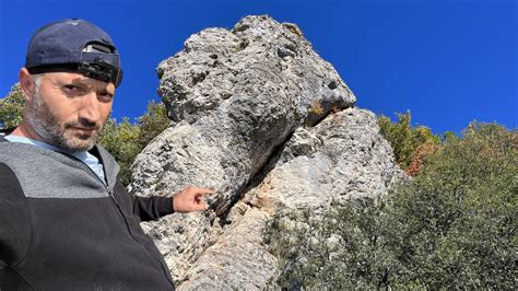 tek-domuz Define Anlamı. 