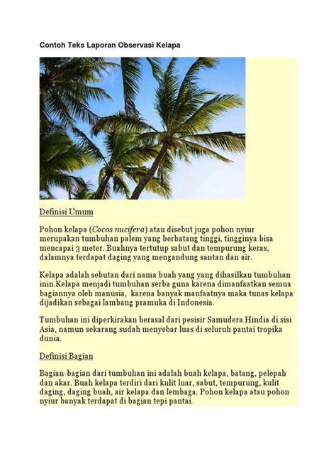 teks observasi pohon kelapa
