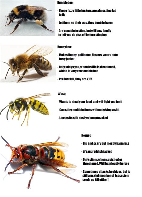 Tell It To Bees