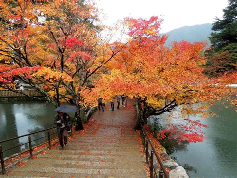 Tempat Wisata Jepang Saat Musim Gugur   10 Destinasi Terbaik Di Jepang Untuk Menyaksikan Musim - Tempat Wisata Jepang Saat Musim Gugur