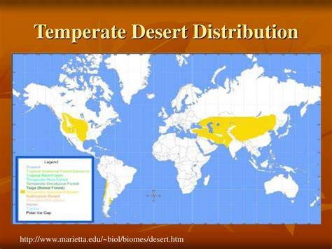 Temperate Desert Temperature