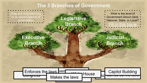 Read Online Template Three Branches Of Government Tree Wordpress 