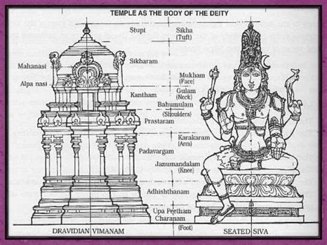 Temple Human Body
