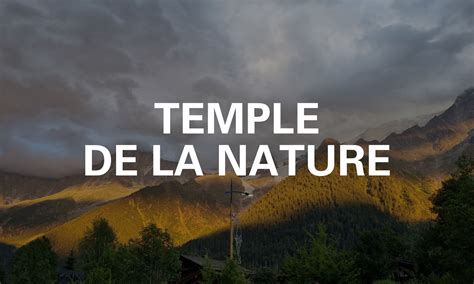 Instagram post by Dimitri Romaguera #6