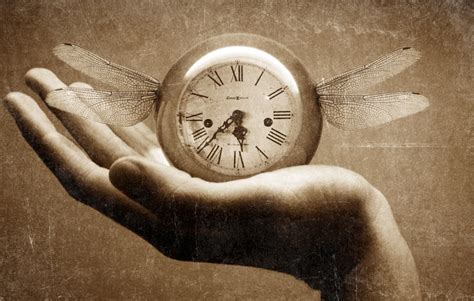 Tempus Fugit Significado