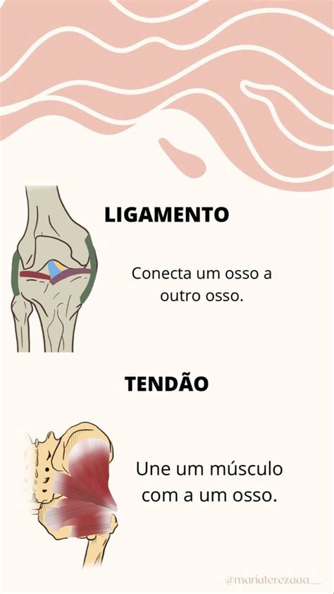 Tendões E Ligamentos
