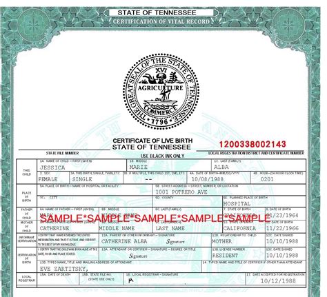 Tennessee Vital Records Birth Certificate