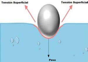 Tensão Superficial água