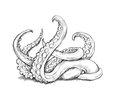 tentacle sketch