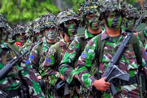 tentara nasional indonesia