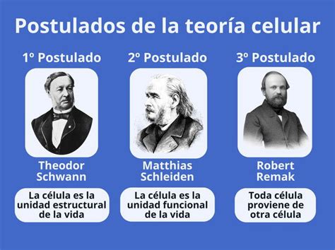Teoria Celular Postulados