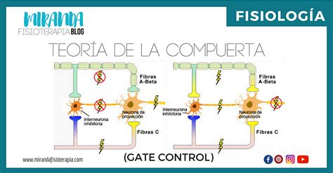 Teoria De La Compuerta