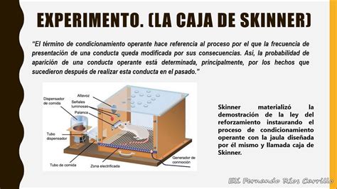 Teoria De Skinner