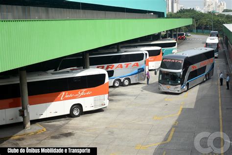 Terminal Niff Com Br