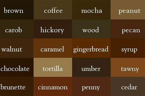 Terpopuler 62 Macam Jenis Warna Coklat Riset Warna Choco Seperti Apa - Warna Choco Seperti Apa