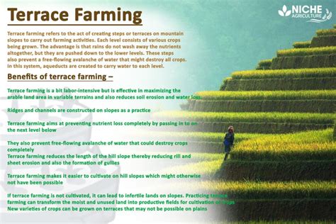 Full Download Terrace Farm Or Agriculture Design Guidelines 
