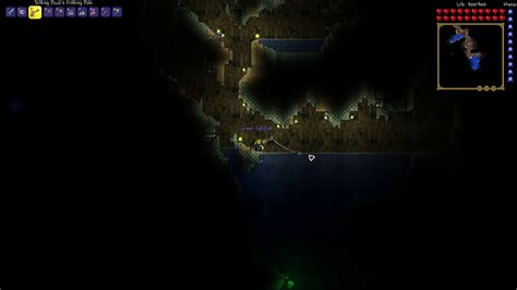 I cant mine blocks below me for some reason : r/Terraria